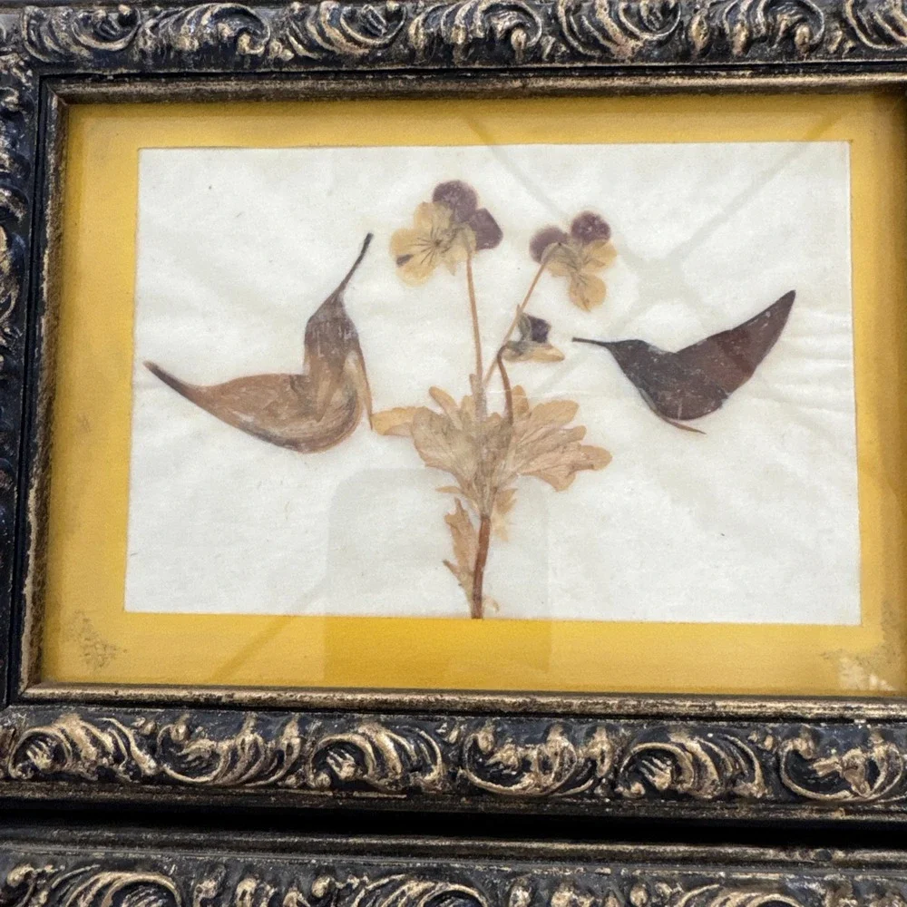 Vintage Pressed Flower Botanical Wall Art Lot of 4 Framed Nature Cottage Decor